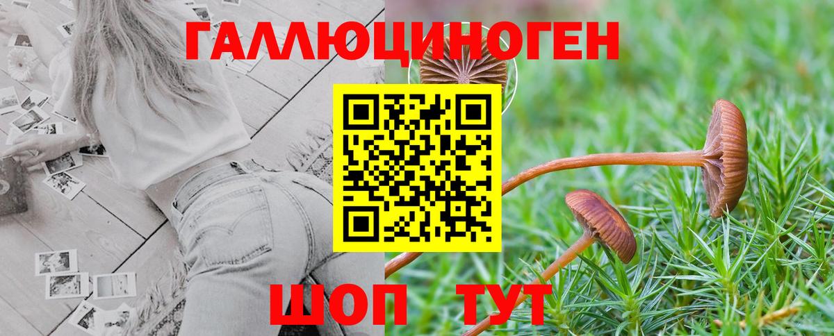 Псилоцибиновые грибы MAGIC MUSHROOMS Гуково