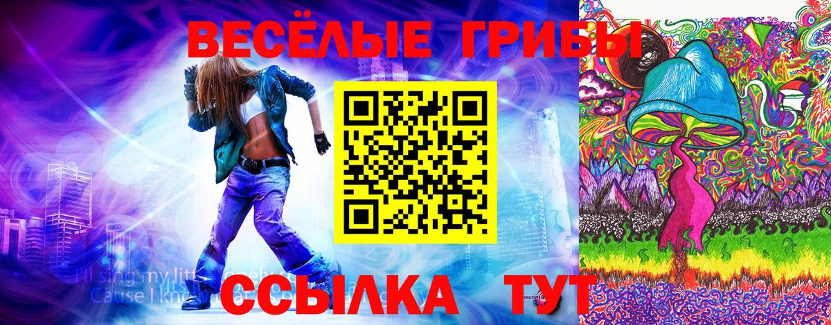 Псилоцибиновые грибы MAGIC MUSHROOMS  Псилоцибиновые грибы ЛСД  Гуково  Вход с VPN 